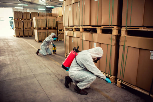 Wasp Removal Services in Snow Hill, MD
