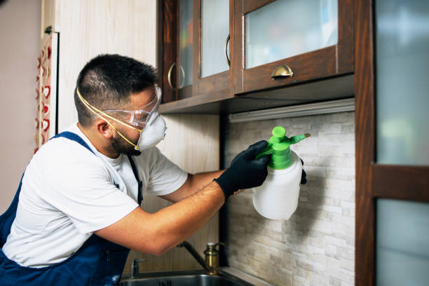 Best Residential Pest Control  in Snow Hill, MD