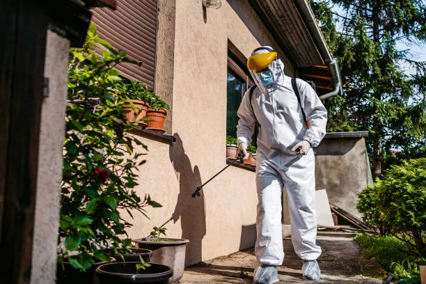 Flea Control Services in Snow Hill, MD