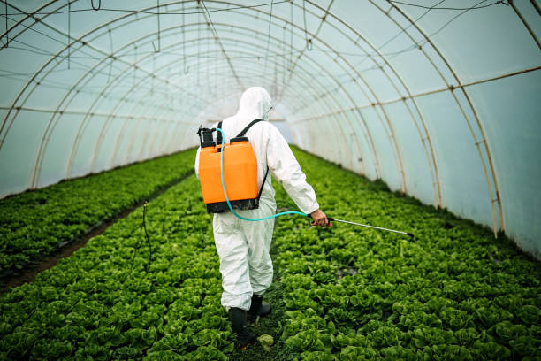 Best Mosquito Control Services  in Snow Hill, MD