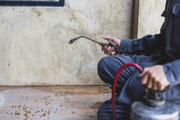 Best Affordable Pest Control Services  in Snow Hill, MD